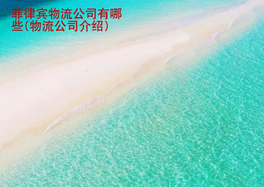 菲律賓物流公司有哪些(物流公司介紹)