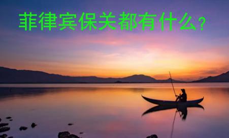 <strong>菲律賓</strong>保關都有什么