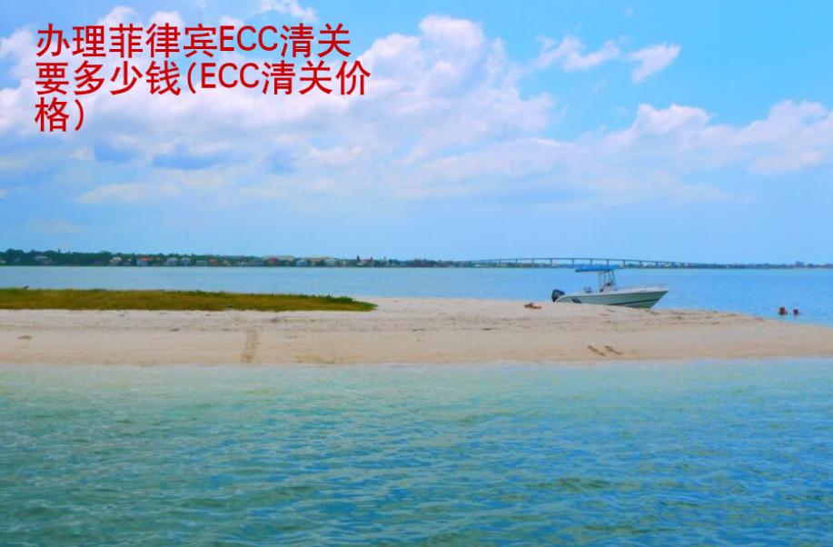 辦理菲律賓ECC清<strong>關(guān)要</strong>多少錢(qián)(ECC清關(guān)價(jià)格)