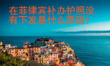 在菲律賓補辦護照沒有下發(fā)是什么原因