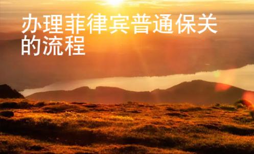 辦理菲律賓普通保關(guān)的流程