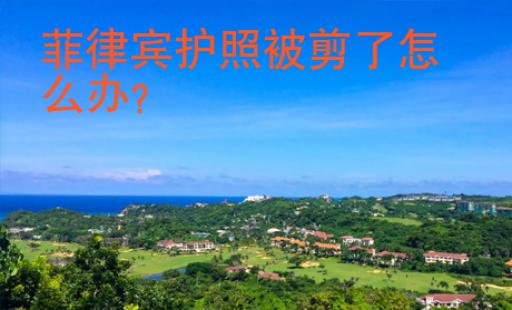 菲律賓護照被剪了怎么辦
