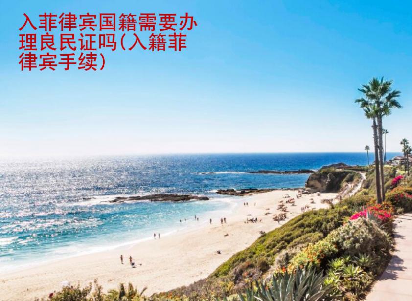 入菲律賓國籍需要<strong>辦理</strong>良民證嗎(入籍菲律賓手續)