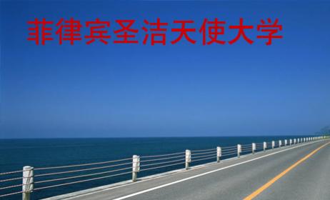 菲律賓圣潔天使大學