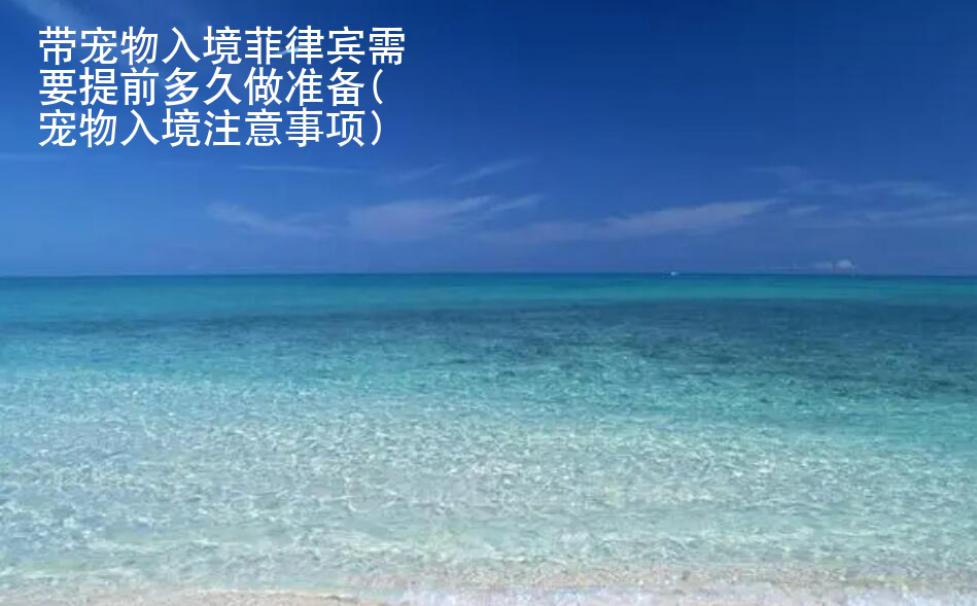 帶寵物入境菲律賓需要提前多久做準備(寵物入境注意事項)