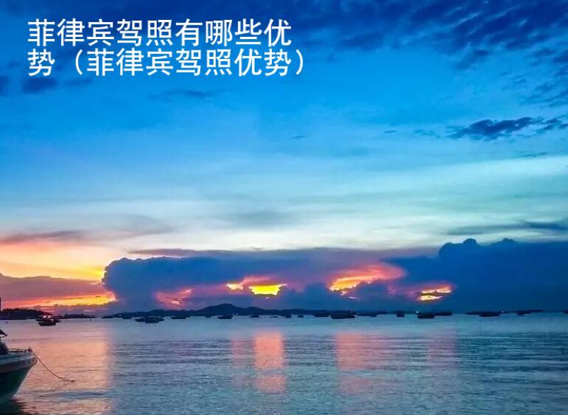 菲律賓駕照有<strong>哪些</strong>優勢