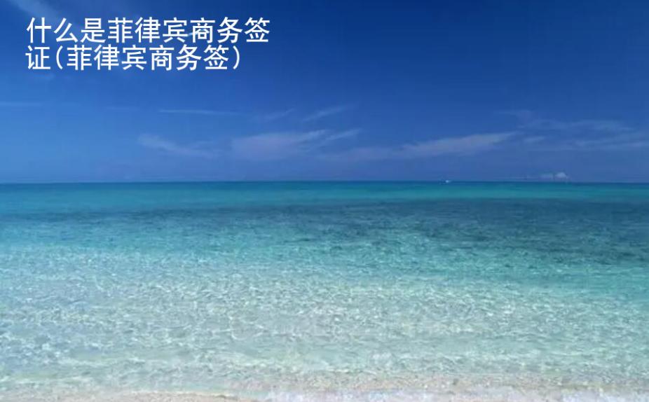 什么是<strong>菲律賓</strong>商務簽證(菲律賓商務簽)