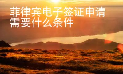 菲律賓電子簽證申請需要什么條件