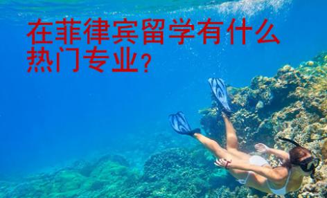 在菲律賓留學(xué)有什么熱門專業(yè)？