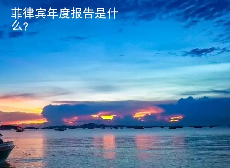 菲律賓年度報告是什么（年度報告介紹）