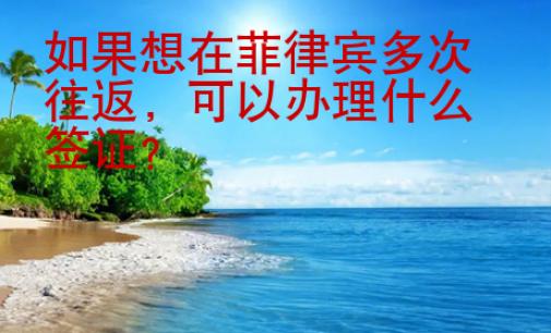 如果想在菲律賓多次<strong>往返</strong>