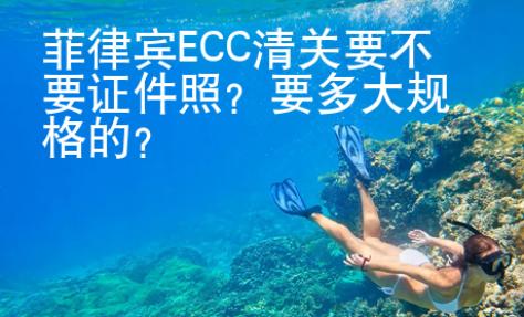 菲律賓<strong>ECC</strong>清關要不要證件照