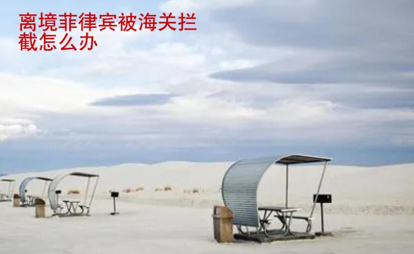 離境菲律賓被海關攔截怎么辦(菲律賓海關攔截)