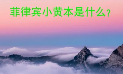 菲律賓小黃本是什么？