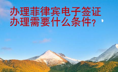辦理<strong>菲律賓</strong>電子簽證辦理需要什么條件