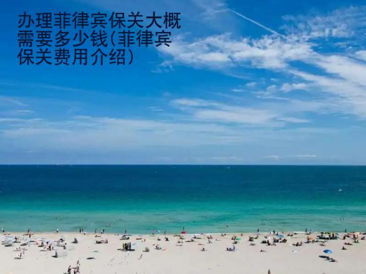 辦理菲律賓<strong>保關(guān)</strong>大概需要多少錢(菲律賓保關(guān)費用介紹)