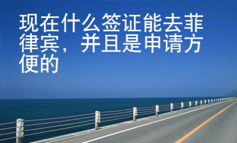 現在什么簽證能去菲律賓，并且是申請方便的