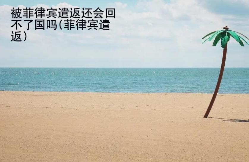 被<strong>菲律賓</strong>遣返還會(huì)回不了國(guó)嗎(菲律賓遣返)