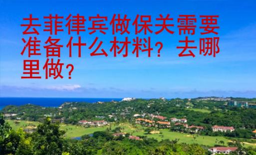 去菲律賓做保關需要準備什么材料