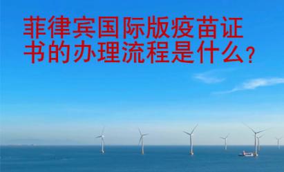 菲律賓國際版疫苗證書的辦理流程是什么？