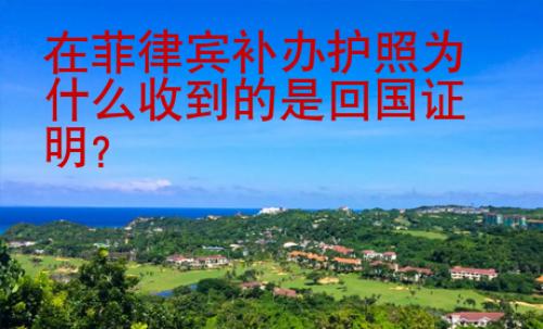 在菲律賓補辦護照為什么收到的是回國證明