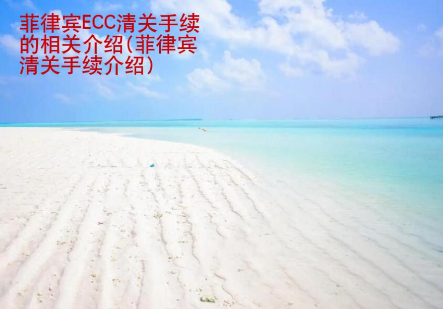 菲律賓ECC清關手續的相關介紹(菲律賓ECC清關介紹)