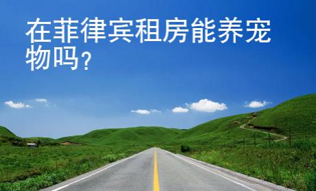 在菲律賓租房能養寵物嗎