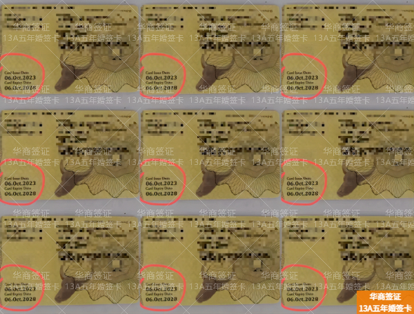 菲律賓萊特省13A簽證申請(qǐng)要的條件(材料有哪些)